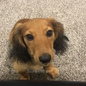 Meet your Posher, Kristen